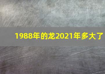 1988年的龙2021年多大了