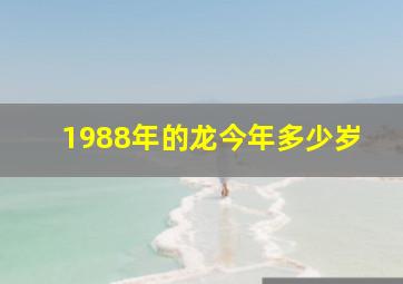 1988年的龙今年多少岁