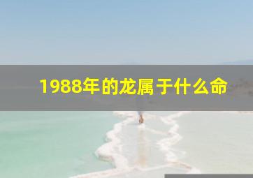 1988年的龙属于什么命