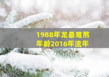 1988年龙最难熬年龄2016年流年