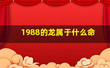 1988的龙属于什么命