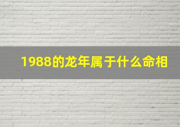 1988的龙年属于什么命相