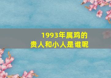 1993年属鸡的贵人和小人是谁呢