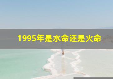 1995年是水命还是火命