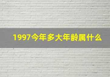 1997今年多大年龄属什么