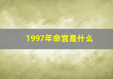 1997年命宫是什么