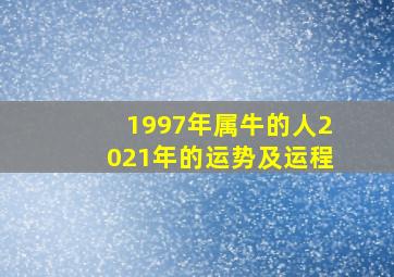 1997年属牛的人2021年的运势及运程