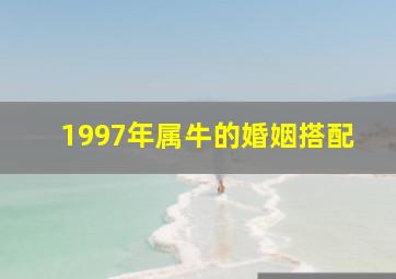 1997年属牛的婚姻搭配