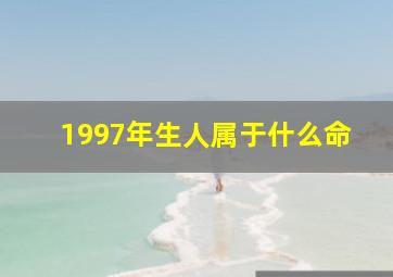 1997年生人属于什么命