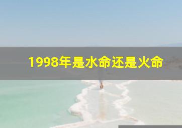 1998年是水命还是火命