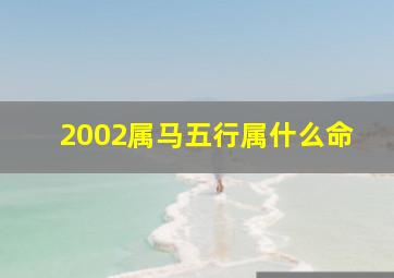 2002属马五行属什么命