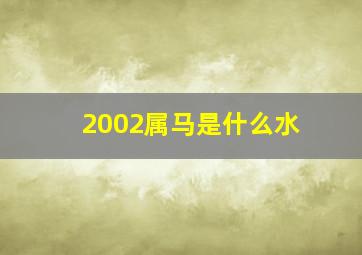 2002属马是什么水