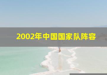 2002年中国国家队阵容