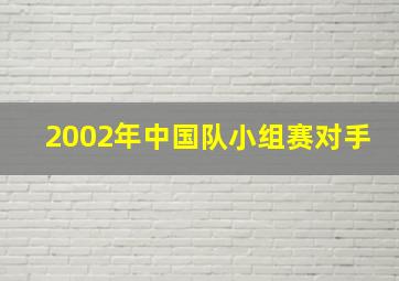 2002年中国队小组赛对手