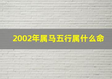 2002年属马五行属什么命