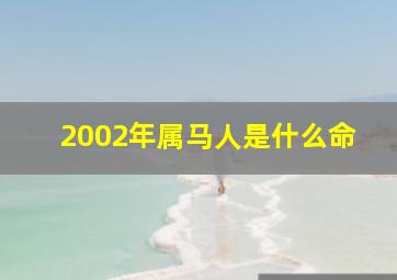 2002年属马人是什么命