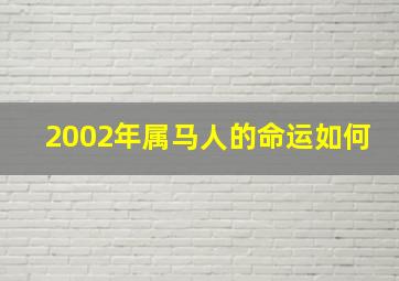 2002年属马人的命运如何