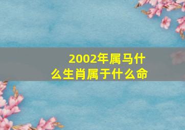 2002年属马什么生肖属于什么命