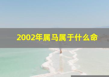 2002年属马属于什么命