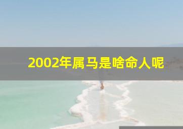 2002年属马是啥命人呢