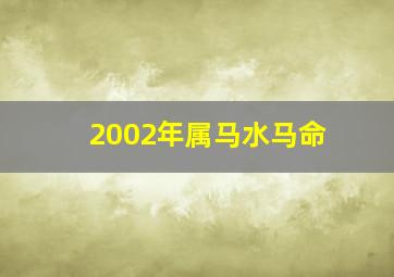 2002年属马水马命