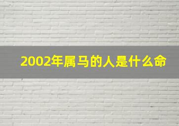 2002年属马的人是什么命