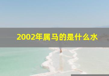 2002年属马的是什么水