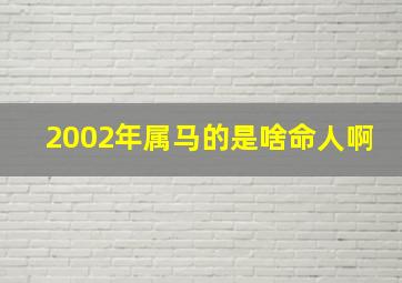 2002年属马的是啥命人啊