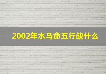 2002年水马命五行缺什么