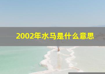 2002年水马是什么意思