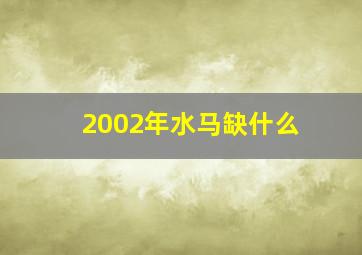 2002年水马缺什么