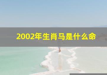 2002年生肖马是什么命