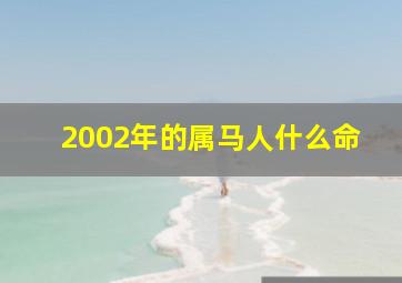 2002年的属马人什么命