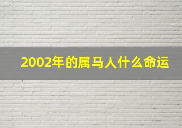 2002年的属马人什么命运