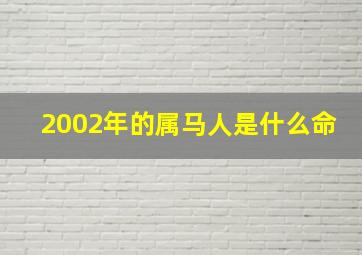 2002年的属马人是什么命