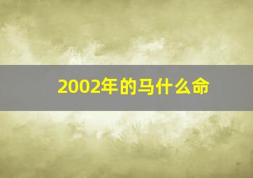 2002年的马什么命