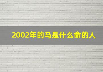 2002年的马是什么命的人