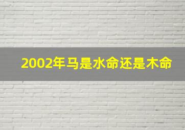 2002年马是水命还是木命