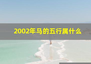 2002年马的五行属什么