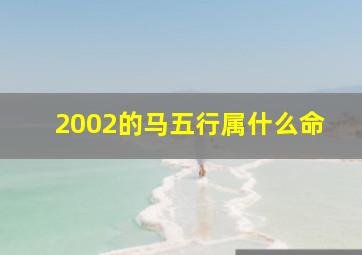 2002的马五行属什么命