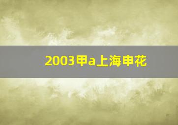 2003甲a上海申花