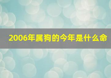 2006年属狗的今年是什么命