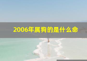 2006年属狗的是什么命