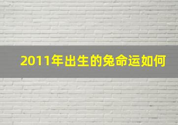 2011年出生的兔命运如何