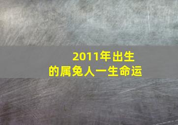 2011年出生的属兔人一生命运