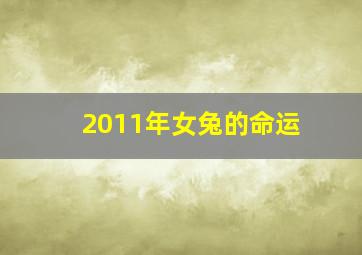 2011年女兔的命运