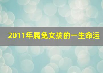 2011年属兔女孩的一生命运