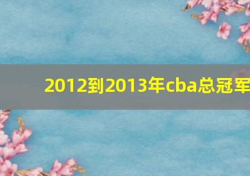 2012到2013年cba总冠军