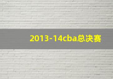 2013-14cba总决赛