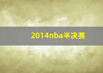 2014nba半决赛